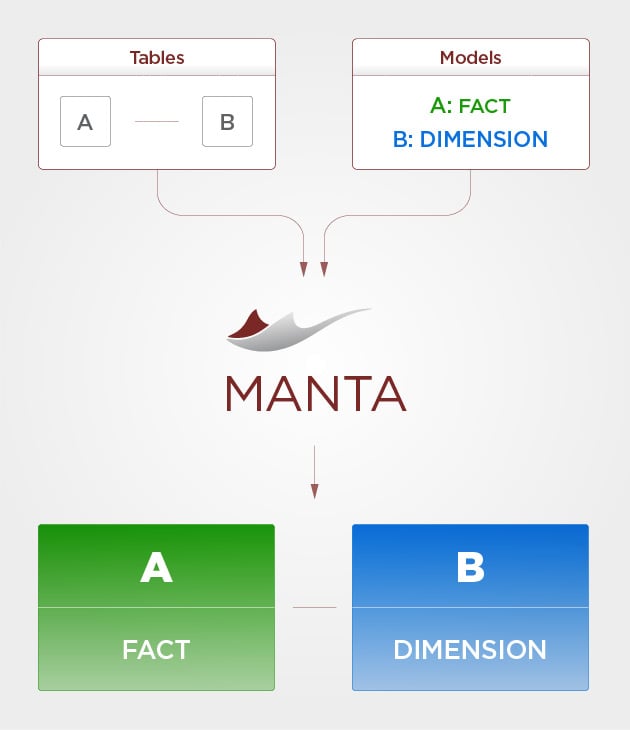 Manta_fact_vs_dimension